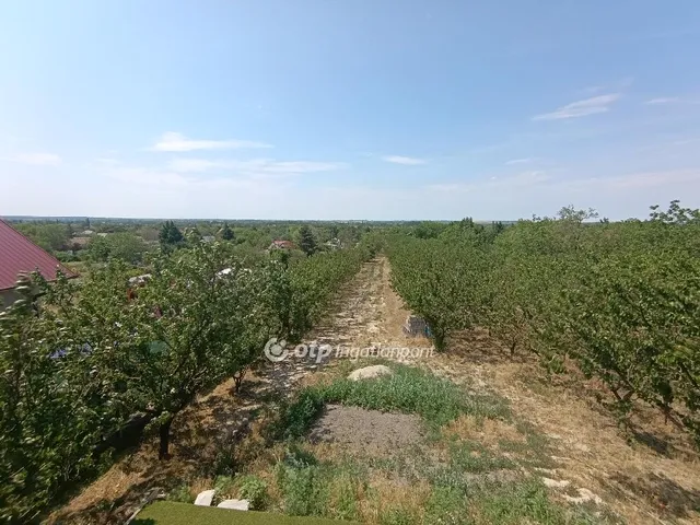 Eladó telek Tárnok 2000 nm