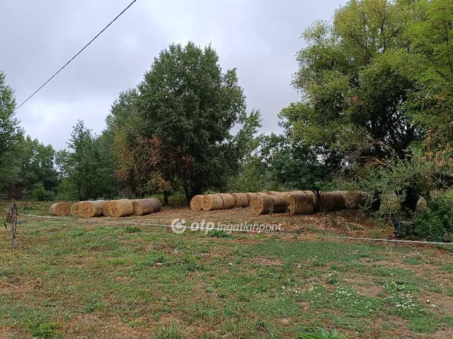 Eladó mezőgazdasági ingatlan Piliscsaba 28115 nm