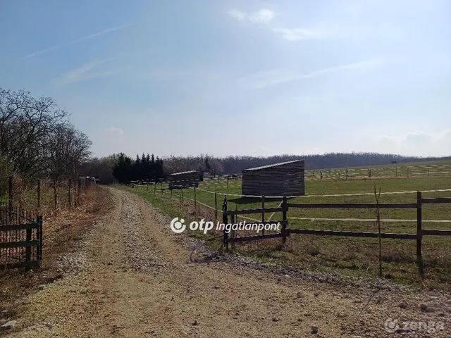 Eladó mezőgazdasági ingatlan Tök 93000 nm