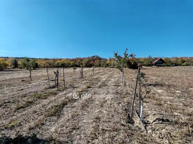 Eladó telek Tök 2536 nm
