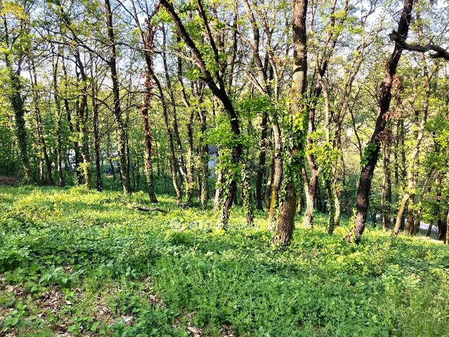 Eladó telek Érd, Vincellér utca 1515 nm