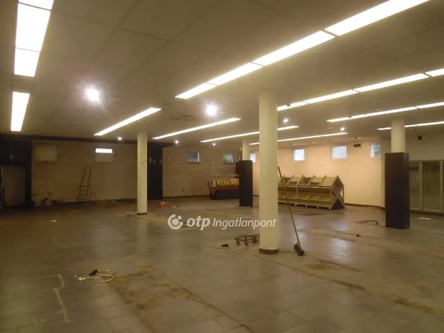 Kiadó kereskedelmi és ipari ingatlan Szigetszentmiklós 400 nm