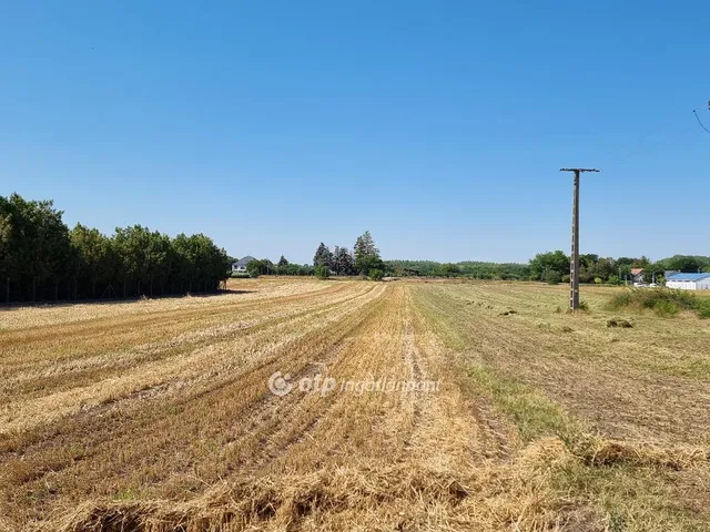 Eladó külterületi telek, Örkény - 5. nézet