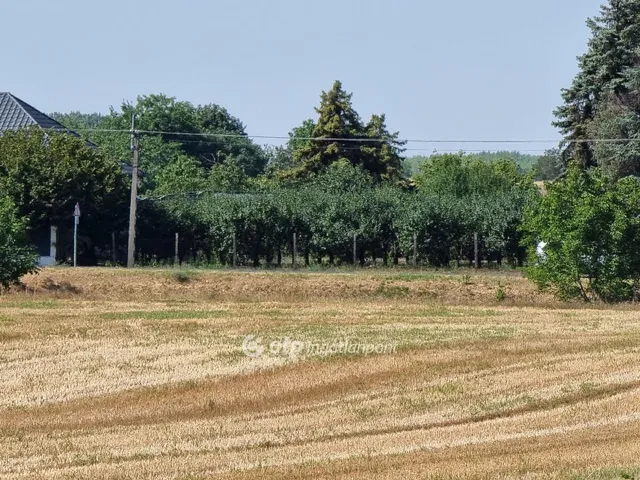 Eladó külterületi telek, Örkény - Több
