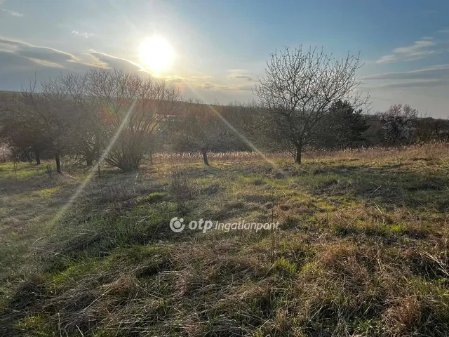 Eladó telek Martonvásár 2277 nm