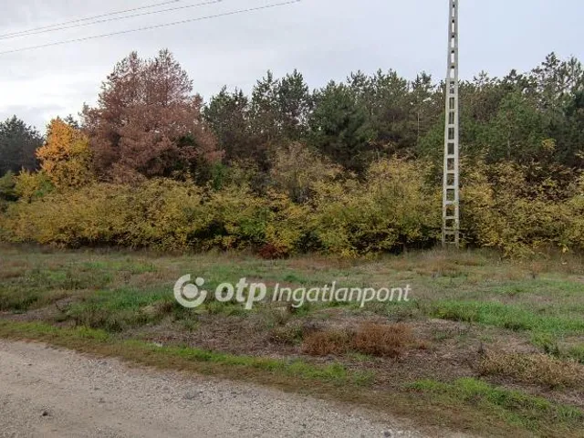 Eladó telek Ágasegyháza 2455 nm