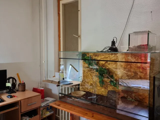 Eladó lakás Budapest XIII. kerület 58 nm