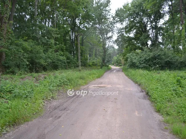 Eladó telek Kiskunlacháza, Dunához közel 579 nm