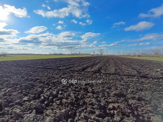 Eladó mezőgazdasági ingatlan Délegyháza 4176 nm