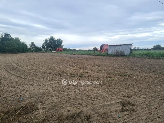 Eladó telek Alsónémedi 2197 nm