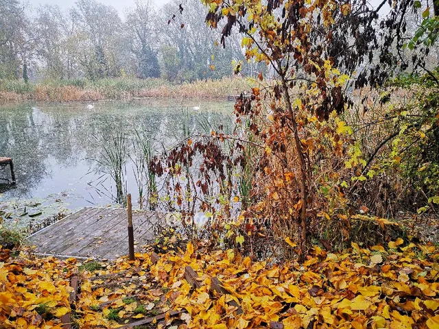 Eladó telek Dömsöd 383 nm