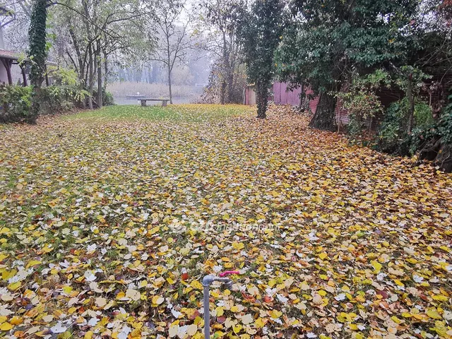 Eladó telek Dömsöd 383 nm