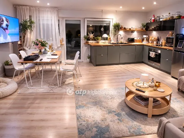 Eladó lakás Halásztelek 56 nm