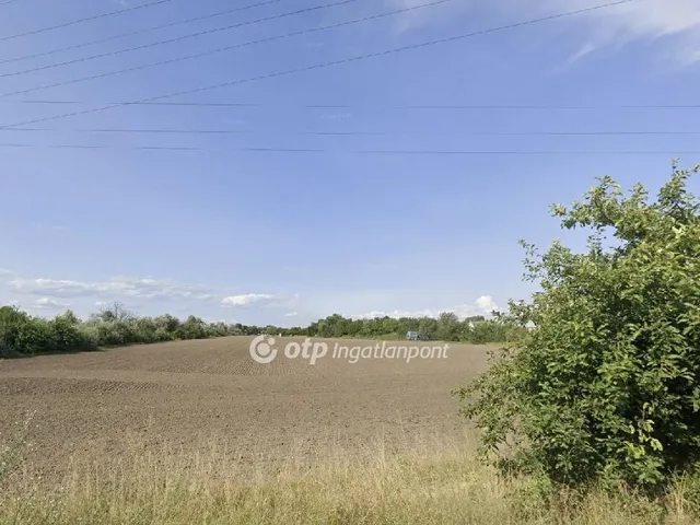 Eladó mezőgazdasági ingatlan Szigetszentmiklós 6602 nm