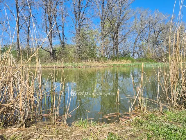 Eladó üdülő és hétvégi ház Dömsöd 30 nm