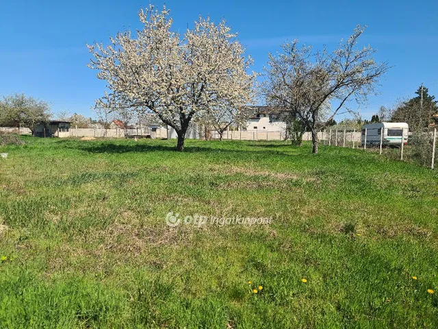 Eladó mezőgazdasági ingatlan Halásztelek 2272 nm