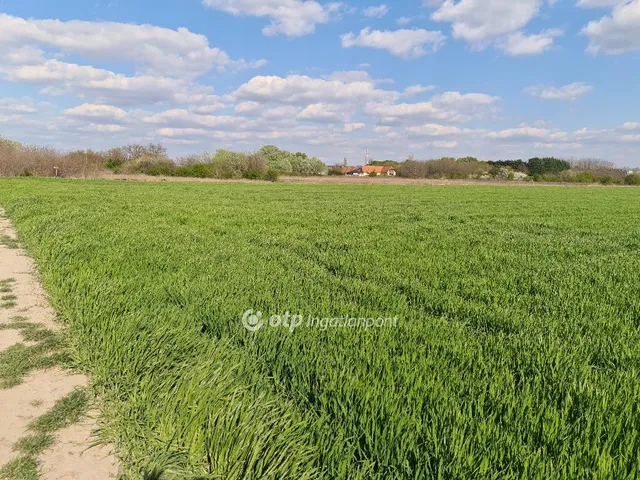 Eladó telek Szigetszentmiklós 1144 nm