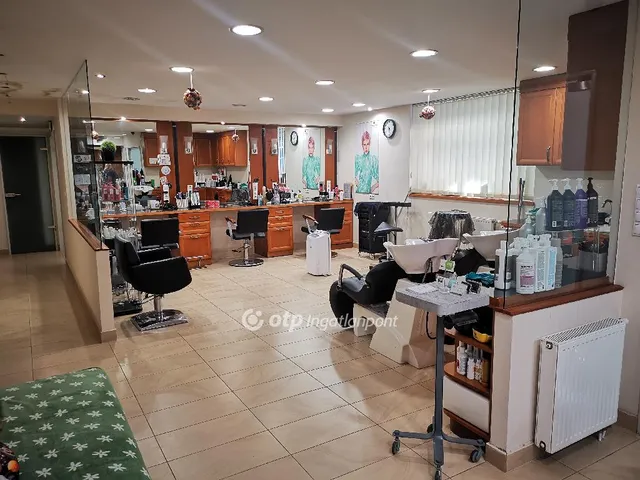 Eladó kereskedelmi és ipari ingatlan Budapest VI. kerület 153 nm