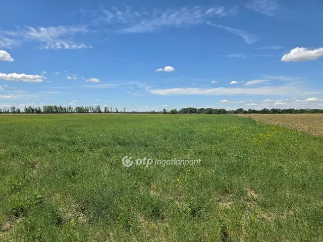 Eladó mezőgazdasági ingatlan Dömsöd 38146 nm