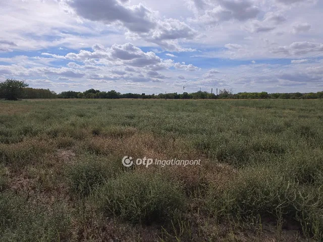 Eladó telek Tököl 1455 nm