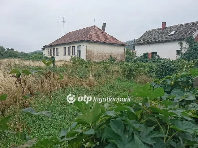 Eladó telek Szekszárd, Decsi szőlőhegy 7000 nm