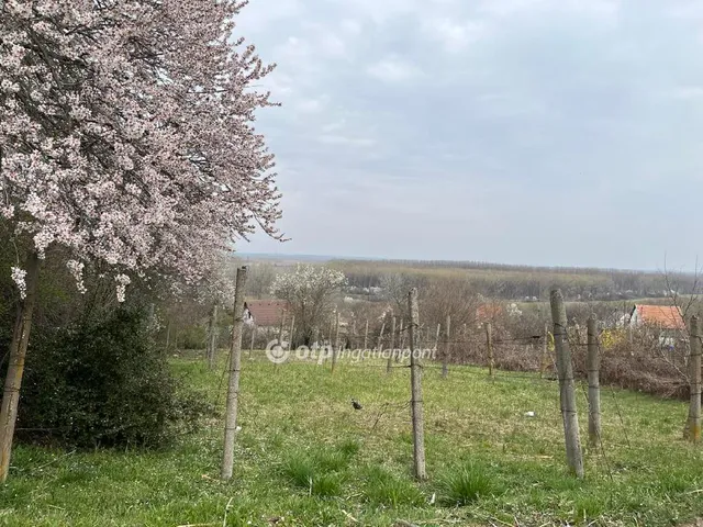 Eladó telek Szekszárd 1189 nm