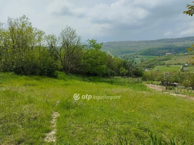Eladó mezőgazdasági ingatlan Szekszárd 1628 nm