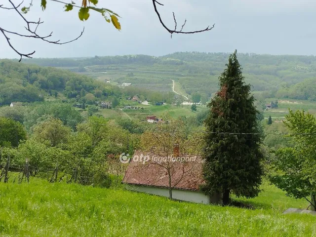 Eladó mezőgazdasági ingatlan Szekszárd 1628 nm