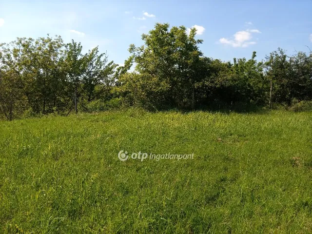 Eladó telek Gyönk 5072 nm
