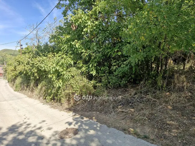 Eladó telek Szekszárd 2873 nm