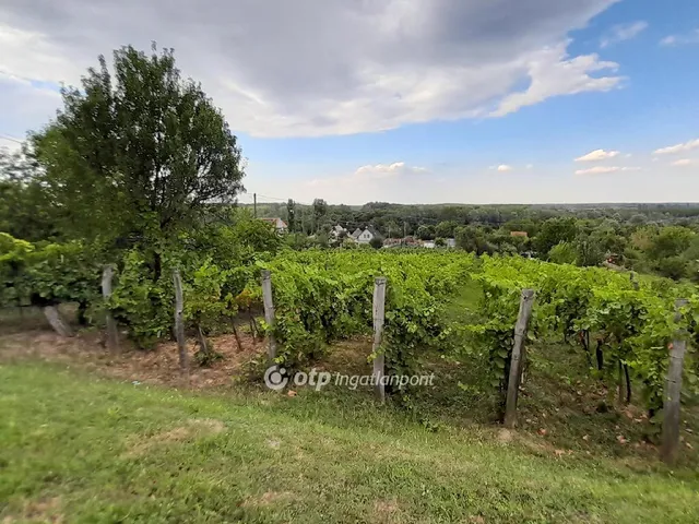 Eladó kereskedelmi és ipari ingatlan Szekszárd 50 nm