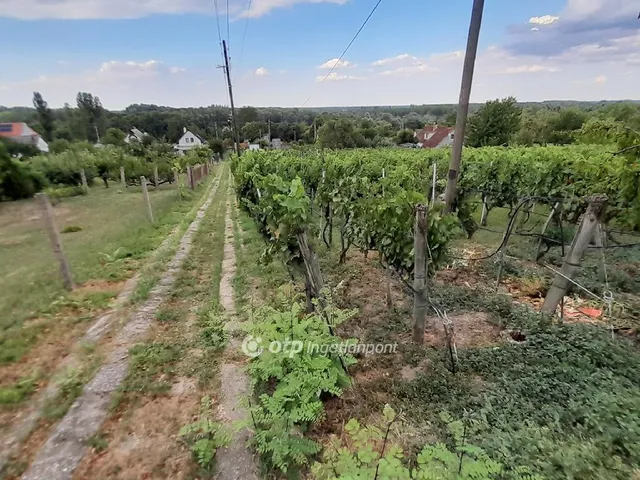 Eladó kereskedelmi és ipari ingatlan Szekszárd 50 nm