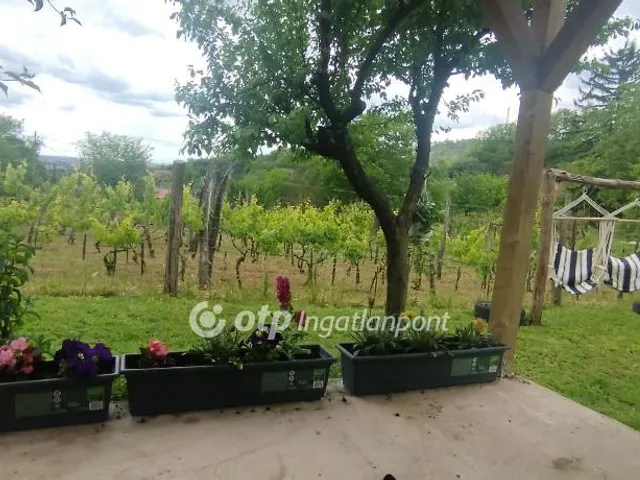 Eladó telek Szekszárd 1522 nm