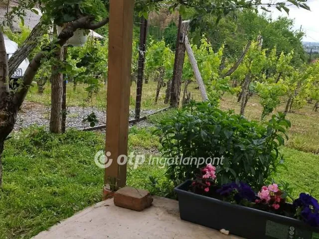 Eladó telek Szekszárd 1522 nm