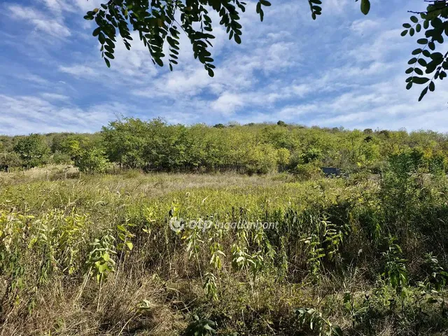 Eladó telek Szekszárd 2873 nm