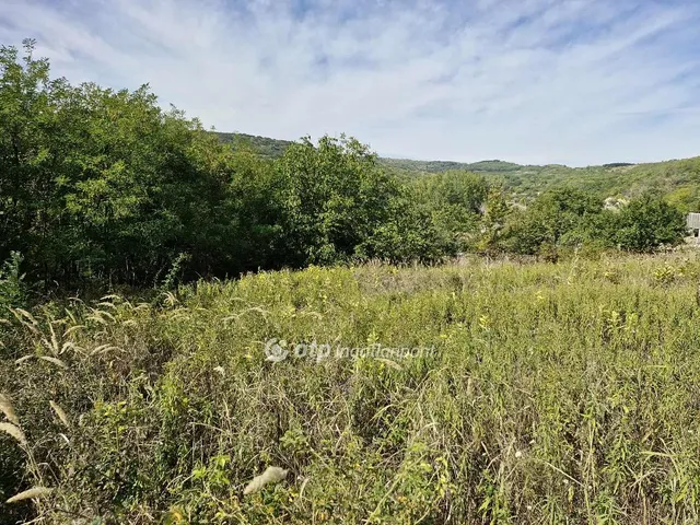 Eladó telek Szekszárd 2873 nm