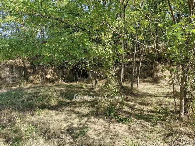 Eladó telek Szekszárd 2873 nm