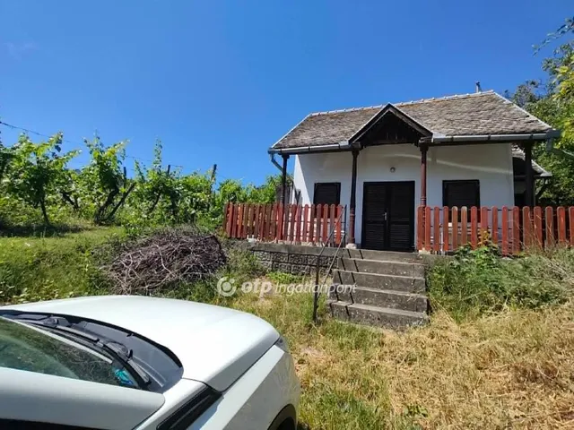 Eladó mezőgazdasági ingatlan Szekszárd 31 nm