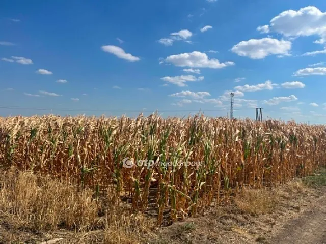 Eladó telek Szekszárd 3619 nm