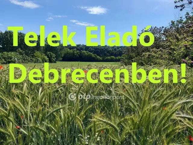 Eladó mezőgazdasági ingatlan Debrecen, Vekeri tó közeliben 2048 nm