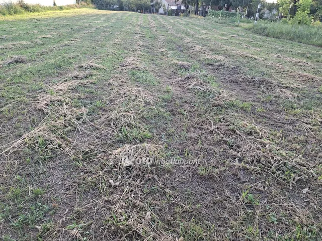 Eladó mezőgazdasági ingatlan Hajdúszoboszló 22924 nm