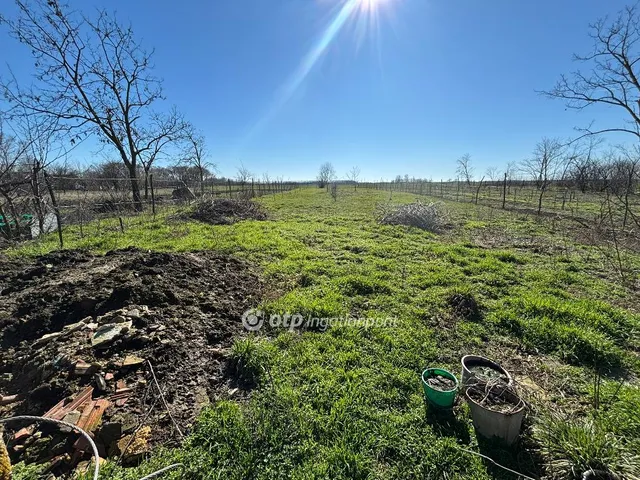 Eladó ház Darvas 76 nm