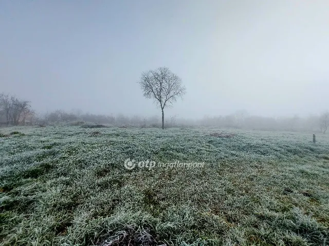 Eladó telek Szakáld 3741 nm