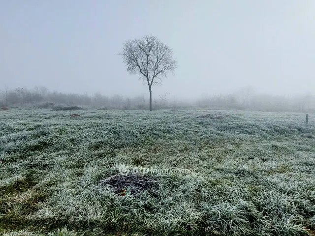 Eladó telek Szakáld 1871 nm