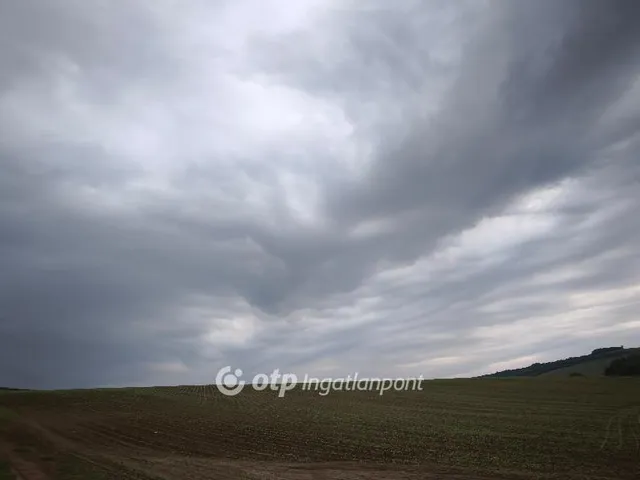 Eladó mezőgazdasági ingatlan Homrogd 65846 nm