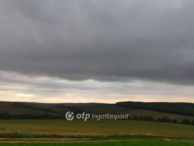Eladó mezőgazdasági ingatlan Homrogd 65846 nm