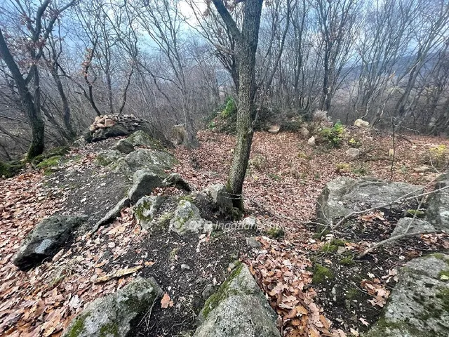 Eladó telek Budapest II. kerület, Pesthidegkút 7050 nm