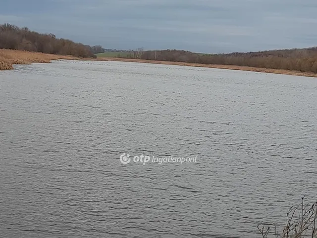 Eladó mezőgazdasági ingatlan Úri, Külterület 1000000 nm