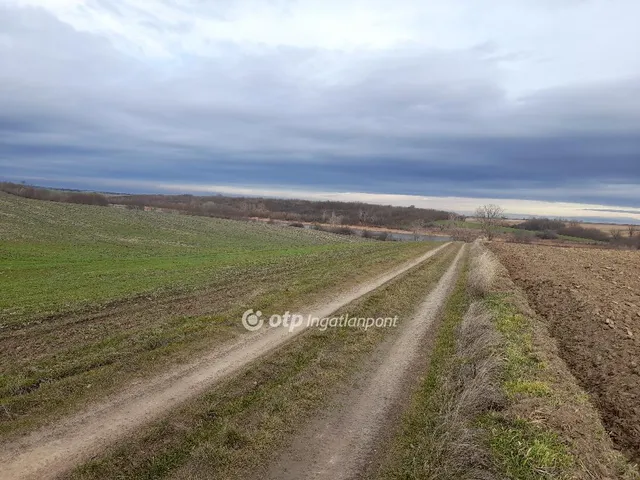 Eladó mezőgazdasági ingatlan Úri 1000000 nm