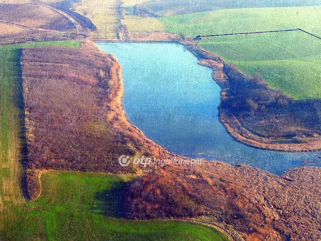 Eladó mezőgazdasági ingatlan Úri, Nagy tó és környéke 340000 nm